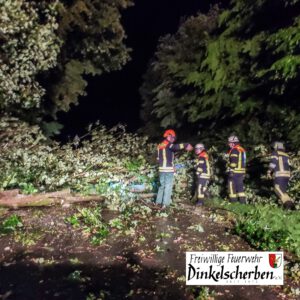 unwettereinsaetze_2023-07-13_04