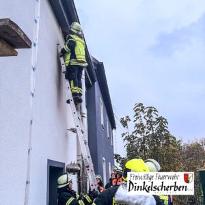 blog_einsaetze_61-63_2025_02
